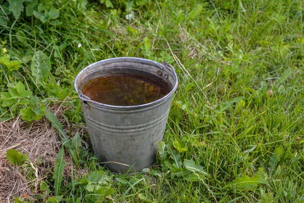 A metal bucket of water stands in the green grass on a sunny day.