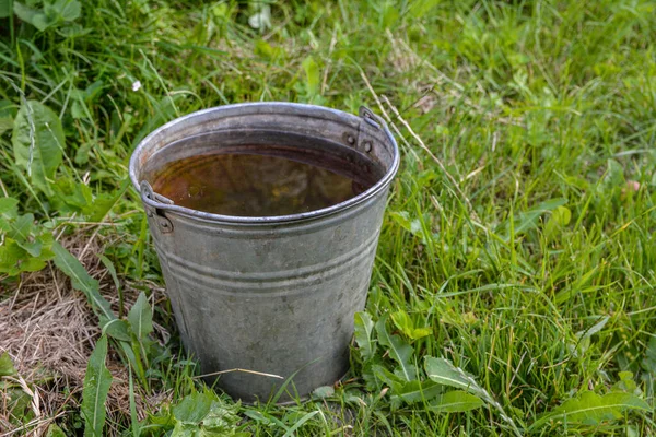 Cubo Agua Metal Encuentra Hierba Verde Día Soleado —  Fotos de Stock