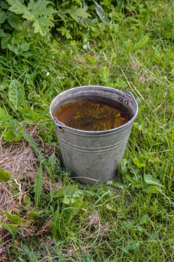 Güneşli bir günde yeşil çimlerin üzerinde duran metal bir kova su.