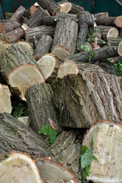 Hromada Dřeva Podpal Klád Železném Náklaďáku — Stock fotografie