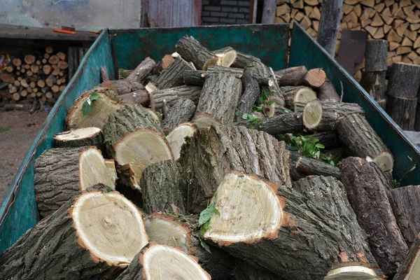 Demir Bir Kamyonda Odun Yığını Kütükler — Stok fotoğraf