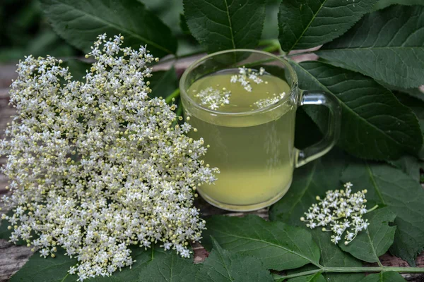 Healthy Medicine Elder flower Tea.Elder flower tea infusion. Healthy natural hot drink from elderberry (Sambucus nigra) plant.