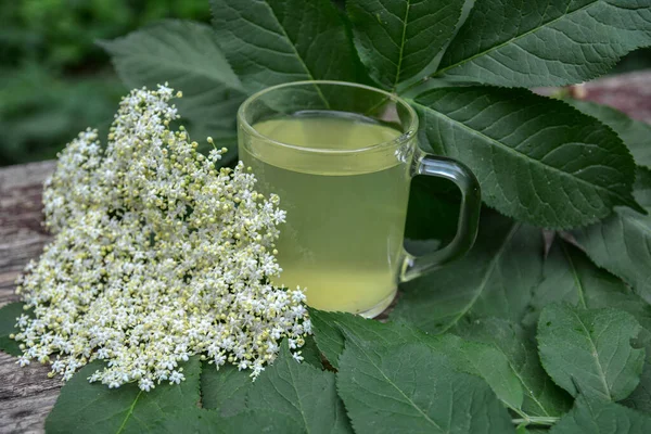 Healthy Medicine Elder flower Tea.Elder flower tea infusion. Healthy natural hot drink from elderberry (Sambucus nigra) plant.