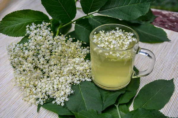 Healthy Medicine Elder flower Tea.Elder flower tea infusion. Healthy natural hot drink from elderberry (Sambucus nigra) plant.