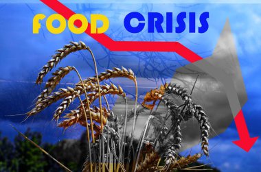 Food supply crisis. Problems with the supply of wheat and flour. Global food crisis.The threat of hunger to the whole world.Ukraine's war on Russia.