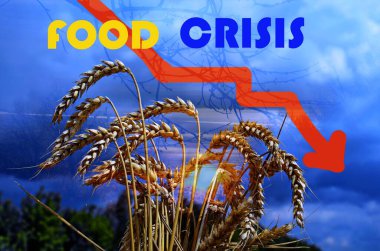 Food supply crisis. Problems with the supply of wheat and flour. Global food crisis.The threat of hunger to the whole world.Ukraine's war on Russia.