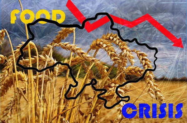 Food Supply Crisis Problems Supply Wheat Flour Global Food Crisis — стокове фото