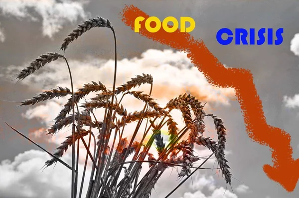 Food supply crisis. Problems with the supply of wheat and flour. Global food crisis.The threat of hunger to the whole world.Ukraine\'s war on Russia.