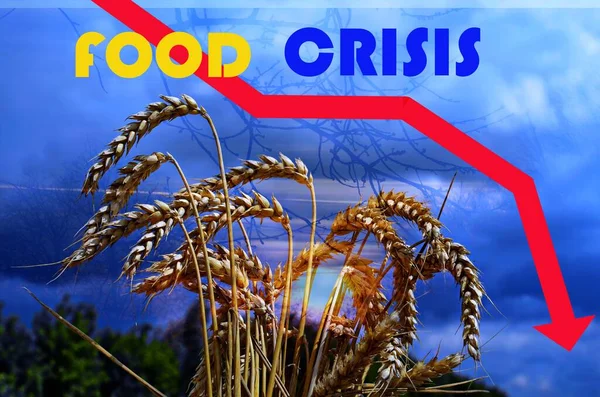 Food supply crisis. Problems with the supply of wheat and flour. Global food crisis.The threat of hunger to the whole world.Ukraine\'s war on Russia.