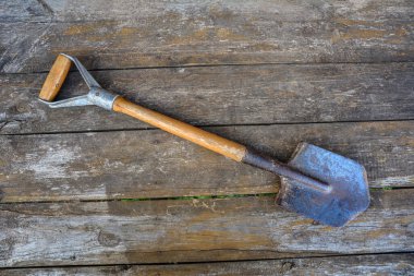 Small shovel for working in ground.