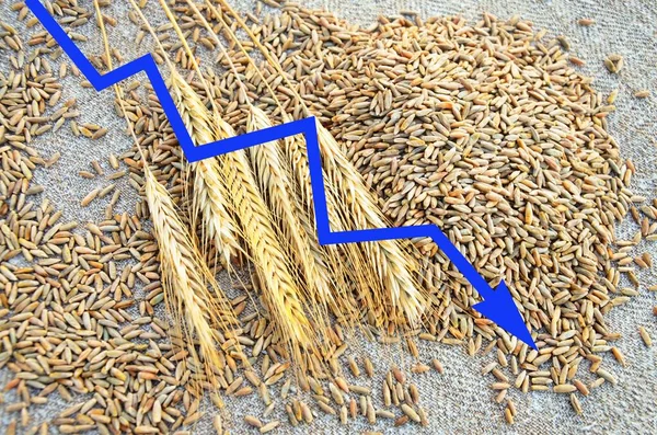 Global European Grain Wheat Crisis Russia Invasion Ukraine 2022 Threat — Stockfoto