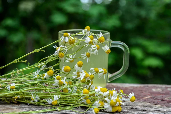 Chamomile Tea Wooden Background Transparent Cup Warm Aromatic Drink Relaxation — Foto Stock