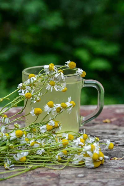 Chamomile Tea Wooden Background Transparent Cup Warm Aromatic Drink Relaxation — Zdjęcie stockowe