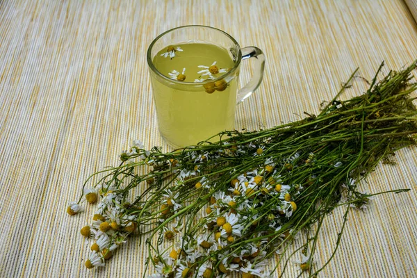Chamomile Tea Wooden Background Transparent Cup Warm Aromatic Drink Relaxation — Zdjęcie stockowe