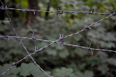 Barbed wire on black.Render with blood flowing down the barbed wire .