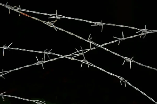 Barbed Wire Black Render Blood Flowing Barbed Wire — Fotografia de Stock