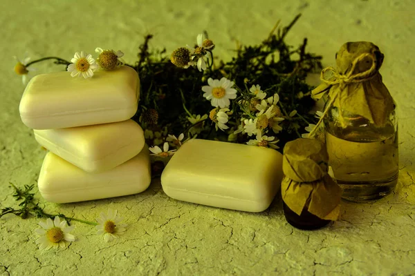 Natural Soap Chamomile Eco Oil Nature Treatment Ecology Essential Handmade — Fotografia de Stock