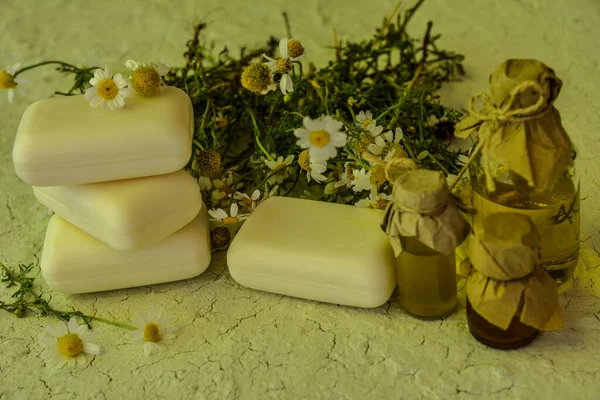 Natural Soap Chamomile Eco Oil Nature Treatment Ecology Essential Handmade — Fotografia de Stock