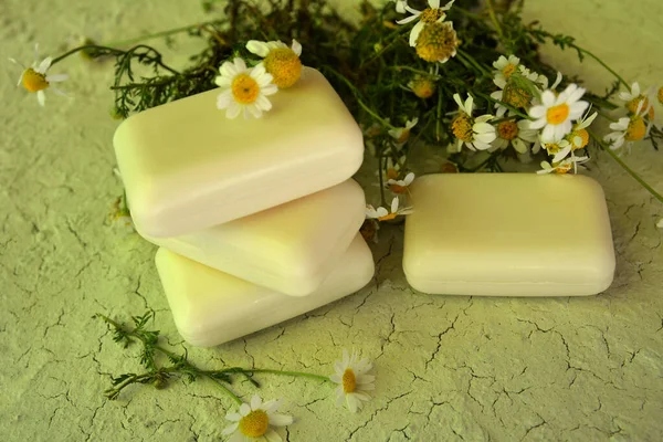 Natural Soap Chamomile Eco Oil Nature Treatment Ecology Essential Handmade — Stock Fotó