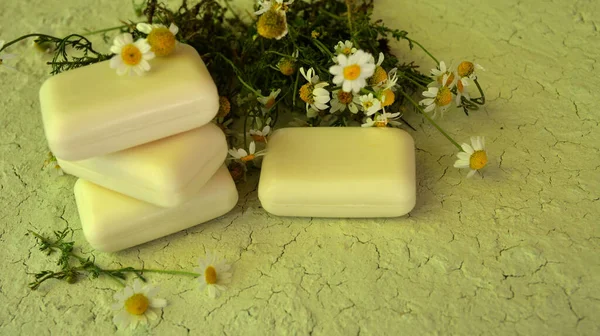 Natural Soap Chamomile Eco Oil Nature Treatment Ecology Essential Handmade — Fotografia de Stock