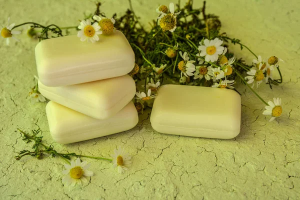 Natural Soap Chamomile Eco Oil Nature Treatment Ecology Essential Handmade — 스톡 사진