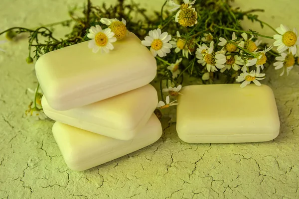 Natural Soap Chamomile Eco Oil Nature Treatment Ecology Essential Handmade —  Fotos de Stock