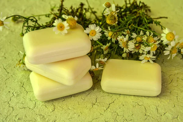 Natural Soap Chamomile Eco Oil Nature Treatment Ecology Essential Handmade — Fotografia de Stock