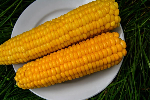 Boiled Corn Dish Healthy Eating Boiled Corn White Plate Close — Stock fotografie
