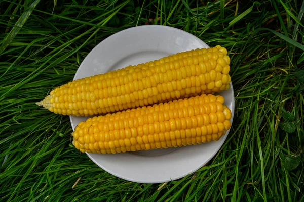 Boiled Corn Dish Healthy Eating Boiled Corn White Plate Close — Foto de Stock
