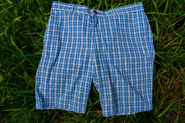Shorts Tartan Plaid Pattern Checkered Fabric Texture Print Blue Pale — Stok fotoğraf