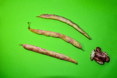 Hurdaya çıkmış taze fasulye kabukları. Doğal arka plan olarak kuru ham kayısı bitkisi (Phaseolus vulgaris) yığını. Organik tarım, sağlıklı yiyecekler, BIO videoları, doğa konseptine dönüş..