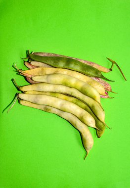 Hurdaya çıkmış taze fasulye kabukları. Doğal arka plan olarak kuru ham kayısı bitkisi (Phaseolus vulgaris) yığını. Organik tarım, sağlıklı yiyecekler, BIO videoları, doğa konseptine dönüş..