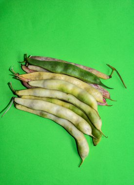 Hurdaya çıkmış taze fasulye kabukları. Doğal arka plan olarak kuru ham kayısı bitkisi (Phaseolus vulgaris) yığını. Organik tarım, sağlıklı yiyecekler, BIO videoları, doğa konseptine dönüş..