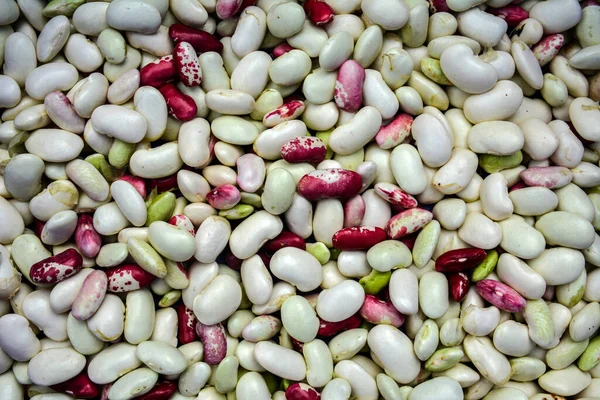 Background Many Beans Photo Many Beans Together Different Types Beans — стоковое фото