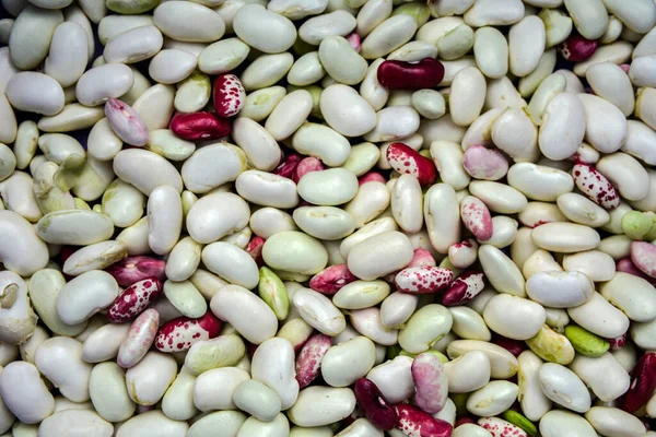 Background Many Beans Photo Many Beans Together Different Types Beans — стоковое фото