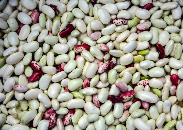 Background Many Beans Photo Many Beans Together Different Types Beans — стоковое фото