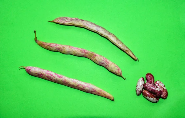 Hurdaya çıkmış taze fasulye kabukları. Doğal arka plan olarak kuru ham kayısı bitkisi (Phaseolus vulgaris) yığını. Organik tarım, sağlıklı yiyecekler, BIO videoları, doğa konseptine dönüş..