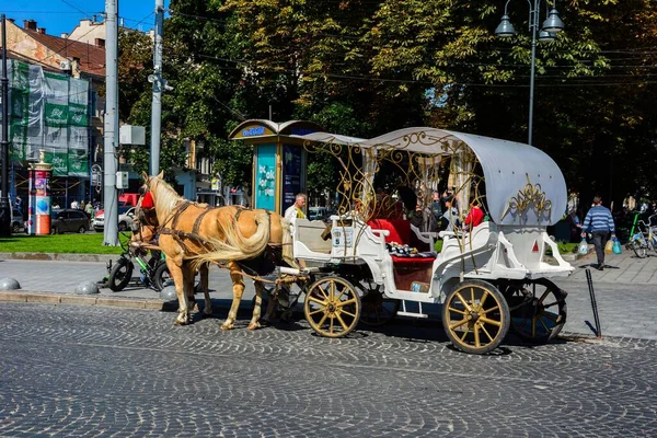 Lviv Ukraine August 2022 View Tourist Family Horse Drawn Carriage — стоковое фото