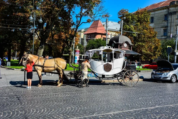 Lviv Ukraine August 2022 View Tourist Family Horse Drawn Carriage — Stockfoto