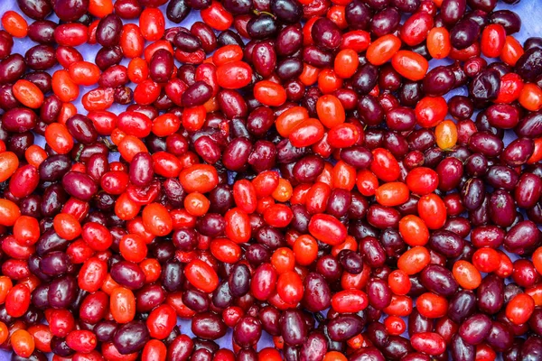 background of bright red dogwood berries. bright delicious background for advertising and attracting attention. natural vitamins and gifts of nature for health and vital energy. soft selective focus