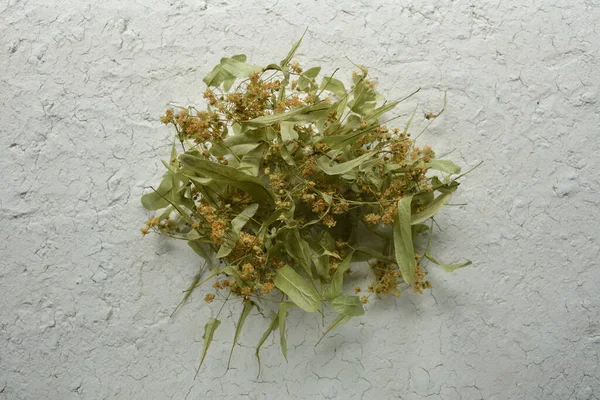 Dry linden inflorescences on white background. Herbal harvest collection and bouquets of wild herbs. Alternative medicine. Natural pharmacy. Lime tree flowers dried for herbal linden tea