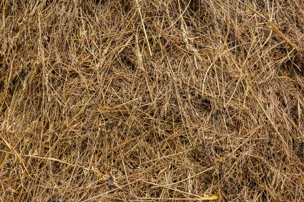 ヘイテクスチャ ヘイボールは大きなスタックに積層されています 農業で収穫 稲わらの背景色 乾燥わら 干し草の藁黄色の背景色 — ストック写真