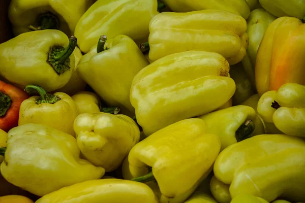 Sweet pepper. Colorful sweet bell peppers, natural background. fresh capsicum. Cooking vegetable salad. Colorful green , red and yellow peppers paprika