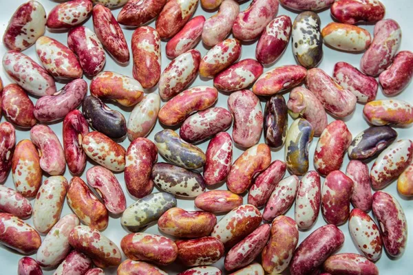 background of many beans.photo of many beans together.Different types of beans, background.