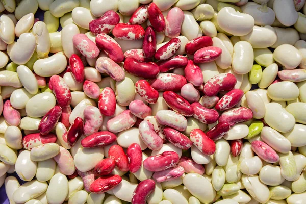 background of many beans.photo of many beans together.Different types of beans, background.