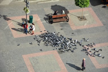 Drogobich. Lviv bölgesi. Ukrayna. Eylül 2022. Şehrin merkez meydanı. Belediye binasının tepesinden bir manzara. Etrafta dolaşan bir sürü küçük şahıs var. Meydanda bir sürü vahşi güvercin var..