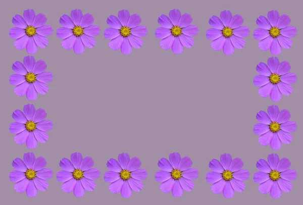 化粧品の花テンプレート テキストのためのスペースを持つ花のフレーム モローと化粧品で作られた美しい花のフレーム — ストック写真
