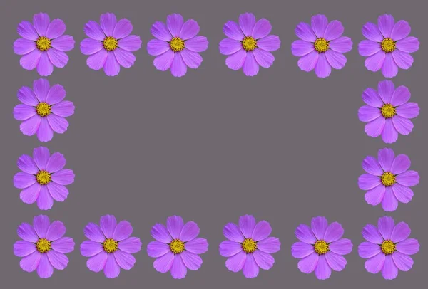 Квіткова Рамка Косими Квітами Шаблони Простір Тексту Красива Квіткова Рамка — стокове фото