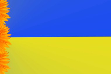 Fotokopi alanı ile güneşli bir arkaplanda gerçekçi bir ayçiçeği. Ayçiçeği çerçevesi. Ayçiçeği sarı ve mavi yapraklar, kalp, ulusal bayrak renkleri Ukrayna