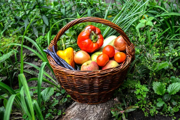 Verduras Frescas Alimentos Cesta Verduras Frescas Cesta Sobre Fondo Madera — Foto de Stock